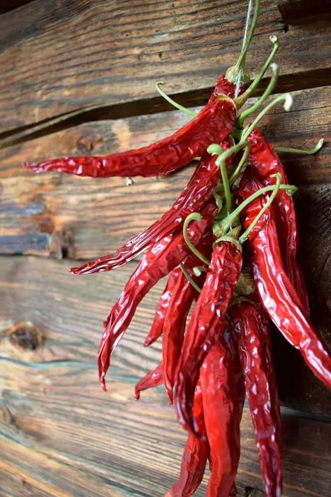 3 Easy Ways To Dry Hot Peppers Preserving Peppers, Pickled Hot Peppers, Canning Granny, Dried Red Chili Peppers, Preserving Vegetables, Tabasco Pepper, Dried Chili Peppers, Canning 101, Dried Chillies