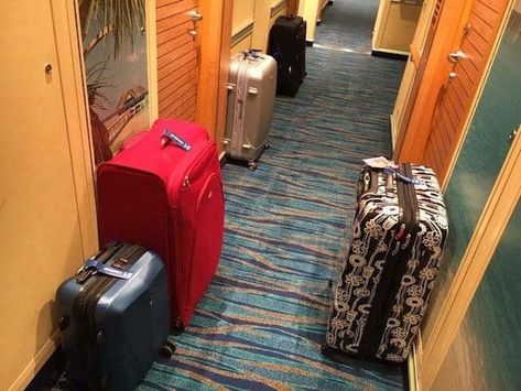 Cruise Organization Hacks, Cruise Terminal, The Terminal, Cruise Tips, Crew Members, The Ship, Cruise Vacation, Cruise Ship, Organization Hacks