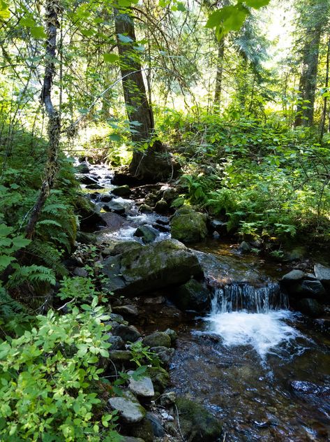 Camping next to a creek on the river. Lochsa River Idaho Idaho Camping, Camping Inspiration, Camping Hiking, The River, Long Distance, Idaho, Caravan, Tent, Fishing