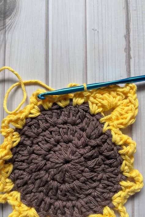 Sunflower Coaster Crochet Pattern - thecaffeinatedsnail.com Sunflower Coasters Crochet Free Pattern, Crochet Sunflower Pattern Free, Crochet Sunflower Coaster Pattern, Sunflower Coaster Crochet, Crochet Sunflower Coaster, Sunflower Crochet Pattern, Sunflower Coaster, Sunflower Coasters, Coaster Crochet Pattern