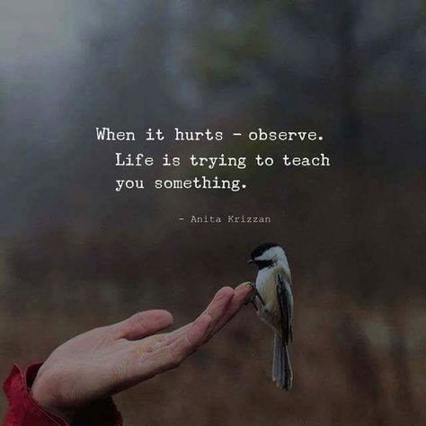 When It Hurts, सत्य वचन, Motiverende Quotes, Reality Quotes, A Quote, Beautiful Quotes, Meaningful Quotes, Great Quotes, The Words