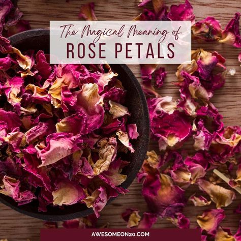 Roses have been a popular symbol of romance for ages, but the magical meaning of rose petals goes much deeper. Learn how to use these beautiful petals in all kinds of witchcraft. The post The Magical Meaning of Rose Petals appeared first on Awesome on 20.