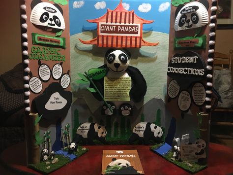 Kaleb's winning nonfiction board! 1st place in class,school,district and regional! Panda Poster Board Project, Class Presentation Ideas, Book Fair Ideas, Panda Project, Tri Fold Poster Board, Poster Board Ideas, Tri Fold Poster, Science Fair Board, Reading Fair