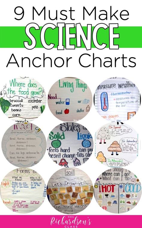 Are you a kindergarten or first grade science teacher? Then you need to check out these anchor charts you need to make for your classroom and students. These graphic organizers will help students master their learning and give them something to refer to throughout the day. #anchorcharts #firstgrade Elementary Science Teacher, Science Anchor Charts, Classroom Anchor Charts, First Grade Science, Primary Science, Third Grade Science, Interactive Science, 4th Grade Science, 6th Grade Science