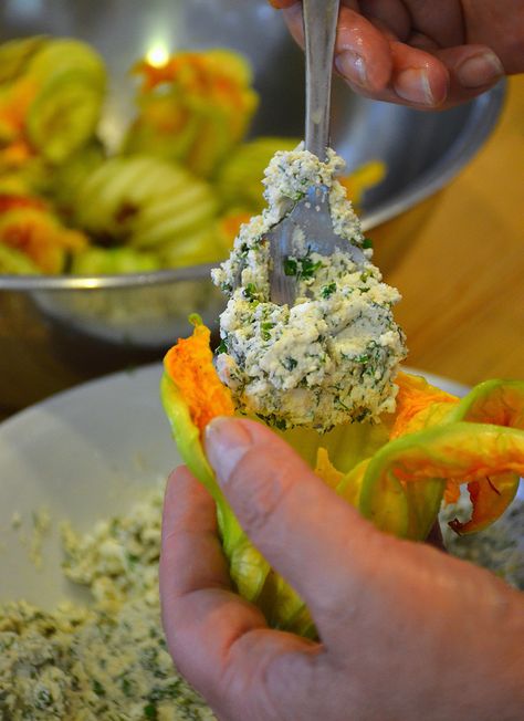 Greek Zucchini Recipes, Stuffed Round Zucchini, Squash Blossom Recipe, Fried Squash Blossoms, Shared Dining, Fried Squash, Pumpkin Flowers, Edible Flowers Recipes, Zucchini Flowers