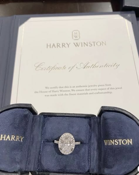 Harry Winston Engagement, Harry Winston, Food Jewelry, Old Lady, Dream Engagement, Dream Engagement Rings, Authentic Jewelry, Classy Jewelry, Jewelry Lookbook