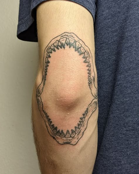 Jaw Elbow Tattoo, Jaws Tattoo, Shark Jaw Tattoo, Jaw Tattoo, Inner Elbow Tattoos, Self Tattoo, Tattoo Sea, Animal Tattoos For Women, Second Tattoo