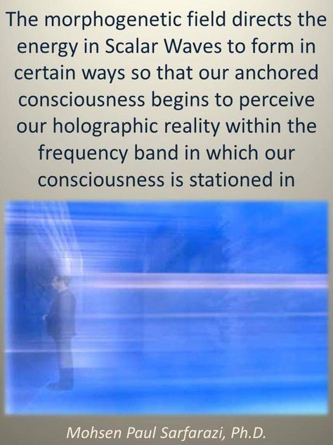 Morphogenetic Field, Unified Field, Conscious Awakening, Friends Forever Pictures, Forever Pictures, Third Eye Opening, Human Design System, Magical Things, Crop Circles