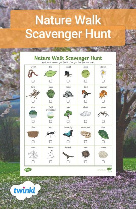 Twinkl's printable nature scavenger hunt for kids. Walk Scavenger Hunt, Nature Scavenger Hunt For Kids, Nature Walk Scavenger Hunt, Nature Scavenger Hunt, Outdoor Learning Activities, Nature Hunt, 4th Grade Social Studies, Five In A Row, Scavenger Hunt For Kids