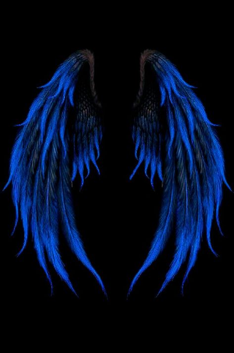 惡魔神 Dark Wings, Blue Angel, Blue Wings, Dark Angel, An Angel, Black Background, Feathers, Angel, Blue