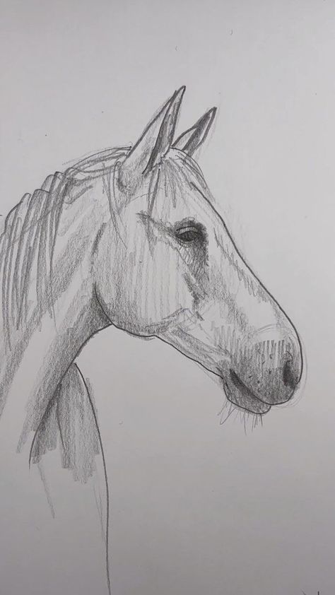 Horse Easy Drawing, Equine Art Pencil Drawings, Easy Horse Drawing, Horse Drawing Tutorial, Draw A Horse, Horse Art Drawing, Pencil Drawings For Beginners, Rasy Koni, Horse Sketch