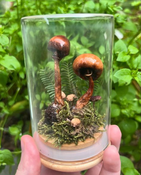 AVAILABLE: “Rainy” Forest Preserved Mushroom Dome. Truly feels like I’m holding a piece of forest in my hand 🥺 . . . #smallbusiness #art #artist #forest #nature #diorama #oddity #curiosity #curiosities #oddities #mushroom #fungi #mushrooms #green #resin #resinart #preserved #flowers #plants #plant #garden #goblincore #fairycore #cottagecore #fae #faerie #rainforest #moss Mushroom Preservation Art, Preservation Art, Rainy Forest, Goblincore Fairycore, Tiny Mushroom, Goblin Core, Plant Garden, Mushroom Fungi, Forest Nature