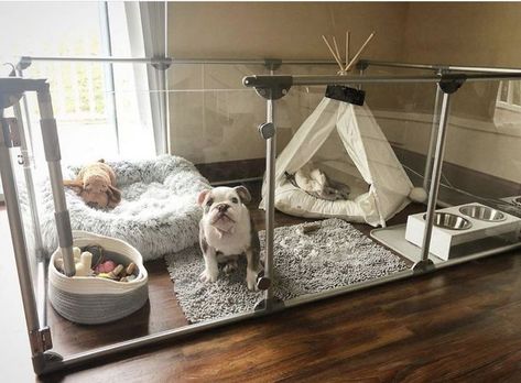 Dog Room Decor, Dog Bedroom, Dog Pens, Puppy Room, Dog Spaces, Dog Room, Dog Pen, Dog Playpen, Dog Rooms