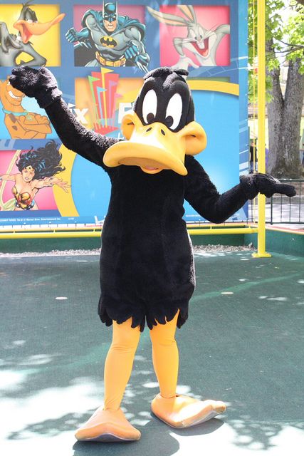 Funny Daffy Duck Costumes Daffy Duck Costume, Hopi Hari, Looney Tunes Wallpaper, Duck Costumes, Childhood Characters, Character Costume, Sonic Funny, Daffy Duck, Chicken Humor