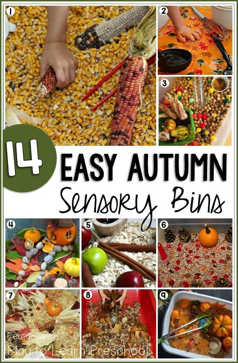 These 14 Easy Autumn Sensory Bins bring all the wonderful smells, sight, textures and sounds of the season into the classroom. Sensory Bins For Toddlers, Sensory Bin Ideas, Sensory Bin Play, November Classroom, Fall Sensory Bin, Fall Sensory, Toddler Sensory Bins, Sensory Tubs, Sensory Tub