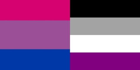 Biromantic Asexual Flag, Biromantic Flag, Biromantic Asexual, Asexual Flag, Nonbinary Flag, Ace Flag, Bi Flag, One Piece Photos, Bisexual Flag