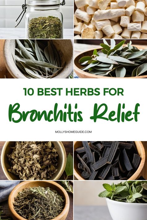 Best Herbs For Cough, Foods To Help Bronchitis, Herbal Remedies For Bronchitis, Herbal Remedies For Cough, Herbs For Coughing, Home Remedy For Bronchitis Cough, Remedies For Bronchitis Cough, Natural Remedy For Bronchitis, Bronchitis Cough Relief