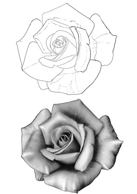 Tato Realis, Rose Tattoo Stencil, Realistic Rose Tattoo, Rose Drawing Tattoo, Rose Stencil, Black And White Roses, Flower Tattoo Drawings, Rose Sketch, Tattoo Outline Drawing