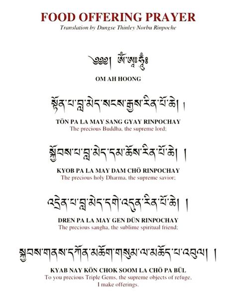 @karma_lodro_gyatso_yip on Instagram: “With an exception of monks and lamas how many of you do actually recite prayer before taking food or tea? I think very few!!! As a Buddhist…” Prayer Before Eating Meals, Buddhism Prayer, Buddhist Prayers, Nepal Tattoo, Tibetan Language, Food Prayer, Buddhism Beliefs, Offering Prayer, Tibetan Mantra