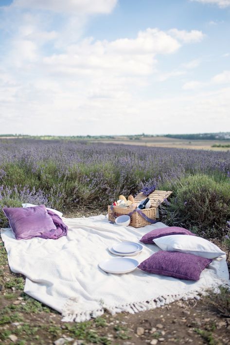 Dreamy Words, Picnic Style Wedding, Lavender Fields Photography, Shades Of Lavender, Bridal Editorial, Picnic Inspiration, Picnic Style, Yennefer Of Vengerberg, Lavender Aesthetic