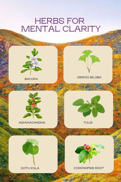 Top recommended herbs to relieve brain fog and promote mental clarity Best Herbs For Brain Health, Herbs For The Brain, Herbs For Mental Clarity, Herbs For Focus, Brain Healing, Vegan Superfoods, North Node, Alkaline Vegan, Herbal Tinctures