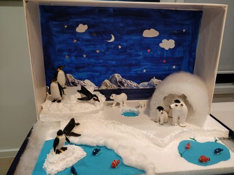 Polar bear diorama Polar Ice Habitat Project, Polar Bear Habitat Project, Polar Bear Habitat Project Kids, Polar Habitat Project, Polar Bear Diaroma, Polar Bear Diorama Project, Polar Bear Habitat Diorama, Polar Bear Project, Artic Diaroma Ideas