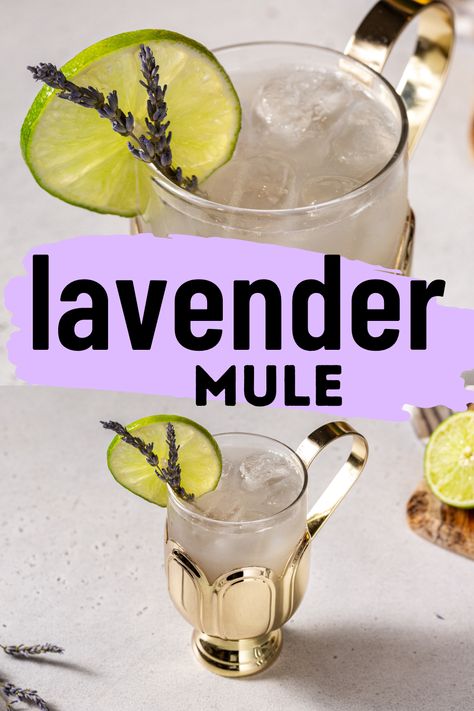 Lavender Mule cocktail in a gold and glass hot toddy mug with a slice of lime and lavender sprigs as garnish. A close up of the drink is on top and in the middle is a text overlay that says "lavender mule". Spring Moscow Mule Recipe, Monin Lavender Syrup Recipes, Lavender Moscow Mule, Lavender Martini Recipe, Lavender Mocktail Recipe, Lavender Cocktail Recipe, Grey Cocktails, Lavender Mule, Lavender Drinks