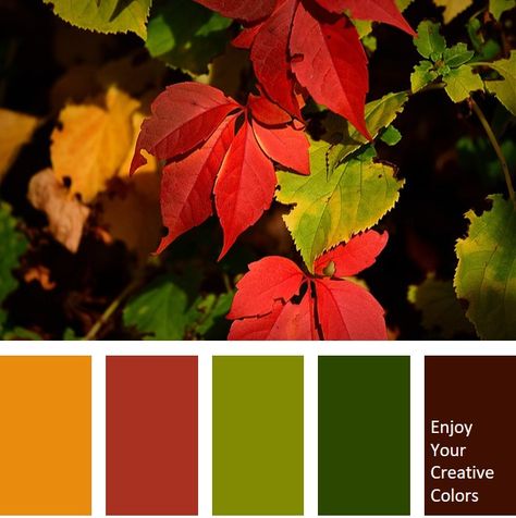 MillionShade.com - Enjoy your creative colors Orange Green Red Color Palette, Green Red Colour Palette, Plants Color Palette, Olive Green Color Combinations, Color Palette Forest Green, Red Green Color Palette, Color Palette Red Green, Color Palette Olive Green, Jungle Color Palette