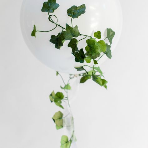 Faux Ivy Balloon Proposal Night, Ideas For Party Decorations, Rose Gold Wedding Party, Party Decorations White, Wedding Party Proposal, Ideas Wedding Party, Fake Ivy, Ivy Garland, Pretty Balloons