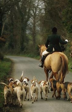 Fox Hunt Art, English Hunting, English Country Manor, American Foxhound, Country Sports, Fox Hunt, Country Manor, Tally Ho, Hunt Scene