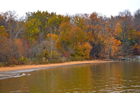 There is also a beach, which is a great spot for swimming, kayaking, or having a picnic. It's gorgeous in autumn... Fall Foliage Road Trips, Scenic Roads, Autumn Foliage, Recreational Activities, Nature Center, Haunted Places, Fall Foliage, State Park, Maryland