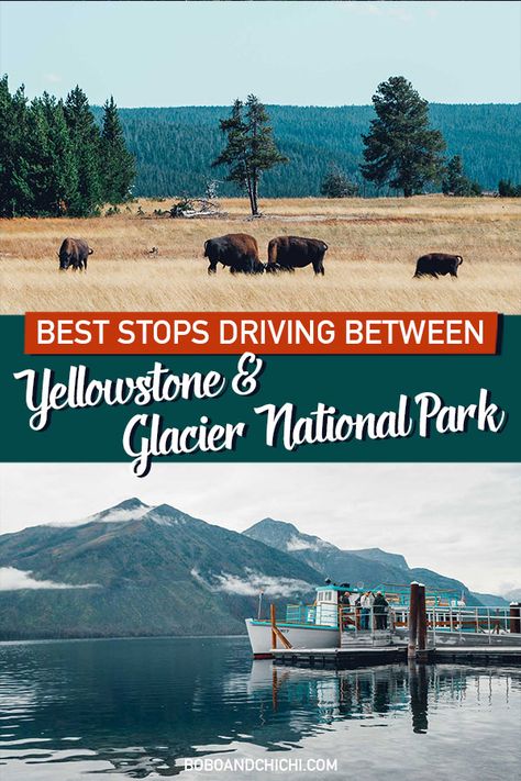 Road Trip Yellowstone, Montana Bucket List, Things To Do In Montana, Montana Road Trip, Yellowstone National Park Photography, Glacier National Park Vacation, Montana Glacier National Park, Glacier National Park Trip, Yellowstone National Park Vacation