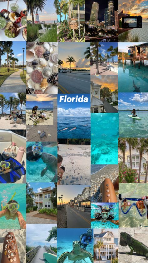 Florida vibes collage Florida Collage, Florida Vibes, Top Places To Travel, Travel Around The World, Travel Around, Places To Travel, Voyage, Around The Worlds, Florida