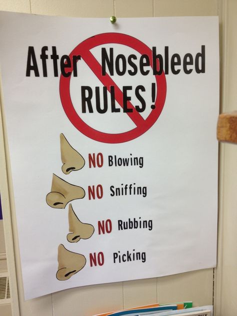 Posters for School Nurses Office | After nosebleed rules poster. School Nurse Decorations, School Nurse Posters, School Nurse Elementary, Nurse Bulletin Board, School Nurse Office Decorations, Health Bulletin Boards, Nurse Office Decor, Nurse Ideas, Office Bulletin Boards