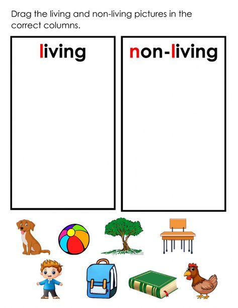 Living and Non-living - Interactive worksheet Living Things Worksheet Kindergarten, Non Living Things, Living And Nonliving Things, Living And Nonliving, Science Activities For Kids, Aktivitas Montessori, Kindergarten Science, English Lessons For Kids, Science Worksheets