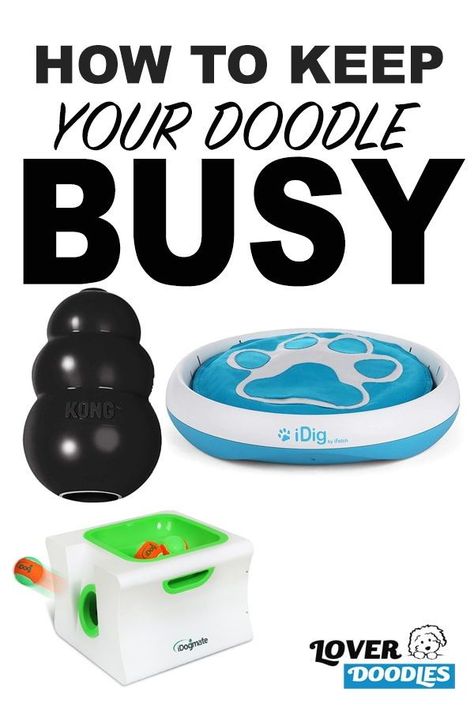 Dog Boredom Busters While At Work, Ideas To Keep Dogs Busy, Keep Puppy Busy While At Work, How To Keep A Puppy Busy, Best Dog Toys To Keep Them Busy, How To Keep Your Dog Entertained, Ways To Keep Your Dog Entertained, Dog Busy Toys, Koda Bear