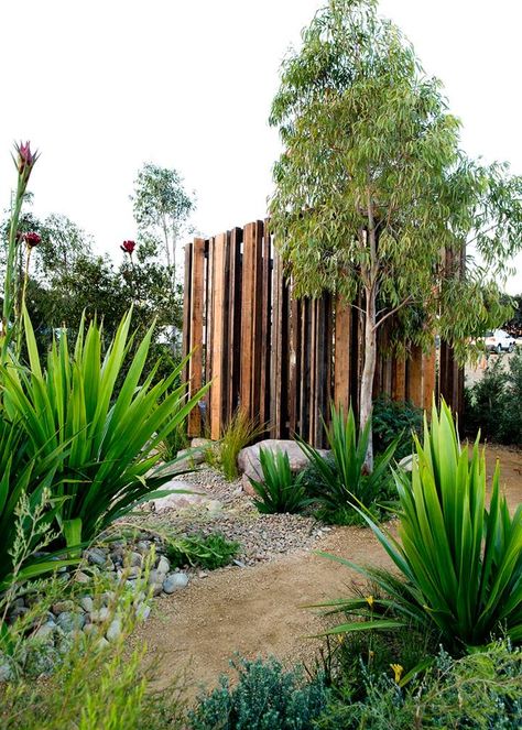 gorgeous garden ideas | Home Beautiful Magazine Australia Australian Garden Design, Bush Garden, Australian Native Garden, Garden Screening, Australian Garden, Modern Garden Design, Coastal Gardens, Contemporary Garden, Garden Show