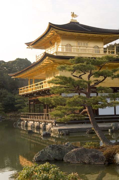 Kyoto Temple, Golden Pavilion, Japanese Garden Landscape, Japan Temple, Japan Holidays, Japan Landscape, Japan Architecture, Japanese Temple, Japan Aesthetic