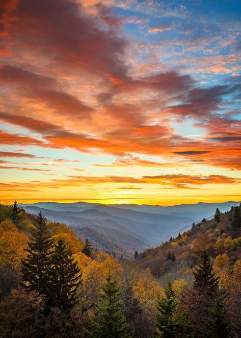 king fanatics will find few better places to visit in Tennessee than the Great Smoky Mountains National Park. With 850 miles of trails and unpaved roads to cover, there is so much to see and do for walking enthusiasts. Alum Cave Bluffs and Arch Rock are among the must-see sights within the grounds of the Great Smoky Mountains National Park, while experienced hikers can even take on the third highest summit in the park, Mount Le Conte. Asheville Mountains, Places To Visit In Tennessee, Smokie Mountains, Sky Mural, Clingmans Dome, Smoky Mountains Vacation, Most Beautiful Places To Visit, Hiking National Parks, Tennessee Vacation