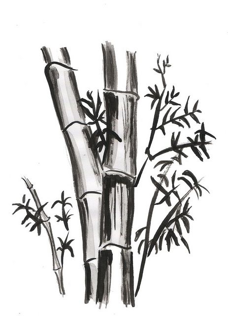 Bamboo Drawing, Kimono Traditional, Japanese Ink Painting, China Ink, Graphite Art, Japan Painting, Chinese Art Painting, Japanese Drawings, Bamboo Art