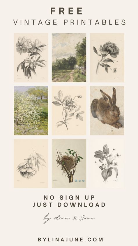 Just click, download, and print. It’s never been easier to redecorate your walls with some beautiful vintage botanical prints. The best part: It’s all FREE and you can do it yourself. Vintage Flowers Prints, Art To Print Free Printable, Diy Botanical Art, Free Vintage Botanical Printables, Vintage Wall Art Prints Free Printables, Free Vintage Art Prints, Print Stickers Free Printable, Vintage Pictures Printable, Free Floral Printables