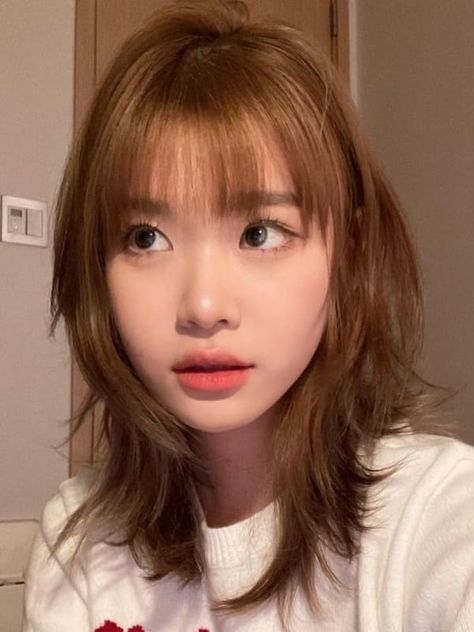 light brown, layered shoulder length hair Hairstyles Ulzzang, Korean Pixie, Pop Hairstyles, Block Haircut, Korean Bob, Korean Perm, Bangs Undercut, Shaggy Cut, Haircut Layered