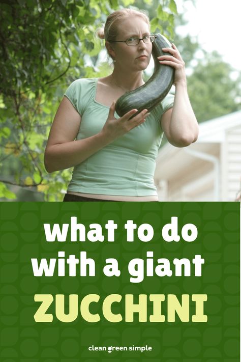 We’ve all been surprised by that oversized zucchini hiding in the garden. Before you toss yours into the compost heap, let us tell you about all the ways you can use giant zucchini in the kitchen. Large Zucchini Recipes, Easy Veg Recipes, Compost Heap, Large Zucchini, Freezing Zucchini, Food Forest Garden, Zucchini Recipes Healthy, How To Cook Zucchini, Zucchini Squash