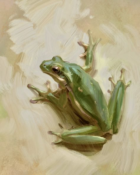 Lane Brown Frog Painting, Painting Sketchbook, Oil Painting Inspiration, Baby Room Art, Gouache Art, Tree Frog, Amazing Art Painting, Art Inspiration Painting, Hand Art Drawing