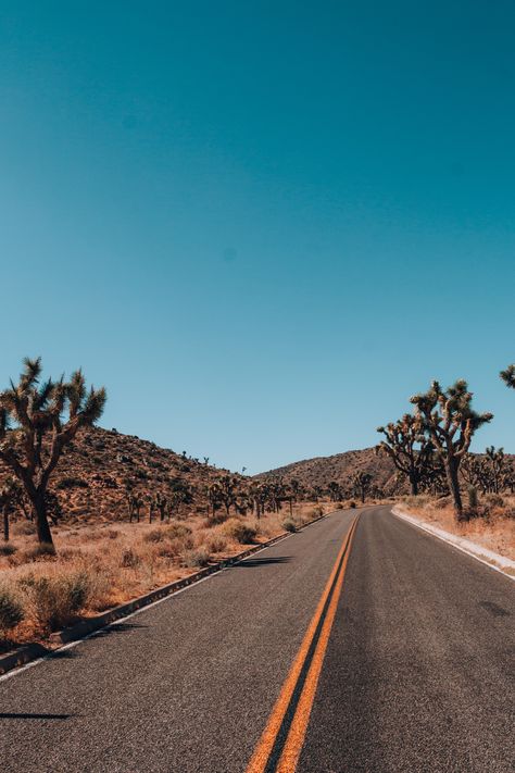 Western America, Road Texture, Desert Road, Texas Photography, Western Landscape, Desert Dream, Beautiful Roads, Desert Life, Cool Pictures Of Nature