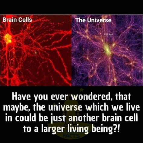 Quantum Physics Spirituality, Theories About The Universe, Astronomy Facts, Interesting Science Facts, Cool Science Facts, Space Facts, Spirit Science, Wow Facts, Unbelievable Facts