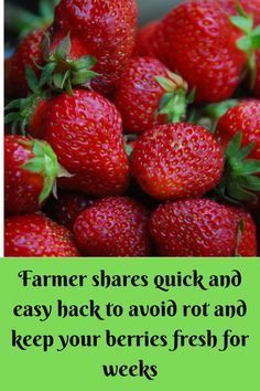 Fruit Organization, How To Clean Strawberries, How To Wash Strawberries, Storage Solutions Kitchen, Food Shelf Life, Fruit And Vegetable Wash, Amazing Food Hacks, Storing Fruit, Strawberry Dessert Recipes