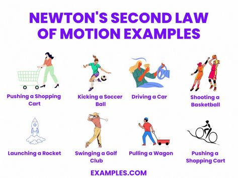 Newton's Second Law Of Motion, Newton's Second Law, Newton's Laws Of Motion, Newton's Laws, Newtons Laws Of Motion, Laws Of Motion, Newtons Laws, Science Projects, Printable Worksheets