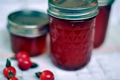 Rose Hip Jelly Rosehip Jelly, Rose Hip Jelly, Food Canning, Canning Jam, Jelly Recipe, Canned Food Storage, Cherry Jam, Foraged Food, Seed Pod