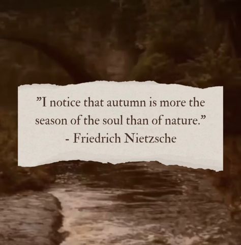 ꪖꪑ꠸᥅ꪖ on Instagram: "an autumn appreciating quote at the beginning of september 🤎 #reels #quotes #reel #quote #friedrichnietzsche #autumn #september" Autumn Motivational Quotes, November Quotes Aesthetic, Quotes About November, Autumn Quotes Aesthetic, Autumnal Quotes, Reel Quote, Fall Aesthetic Quotes, Fall Season Quotes, November Vibes